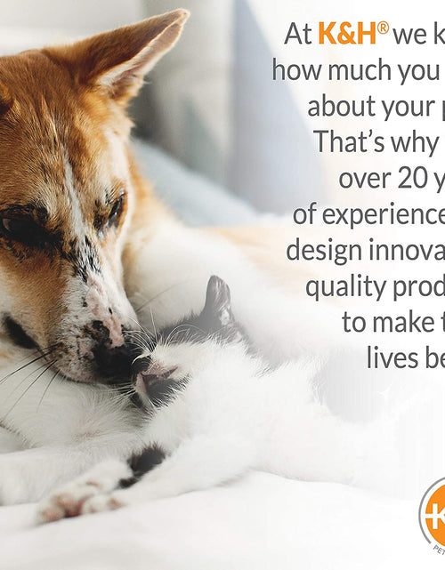 Load image into Gallery viewer, Original Pet Cot Elevated Dog Bed Gray/Black Mesh Large 30 X 42 X 7 Inches
