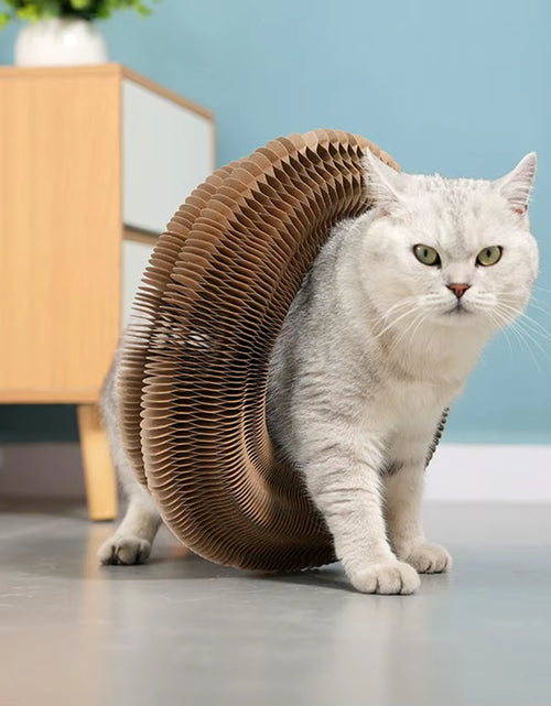 Load image into Gallery viewer, Purrfectscratch Magic Organ Cat Scratching Board – Interactive Claw Grinder &amp; Fun Toy for Cats
