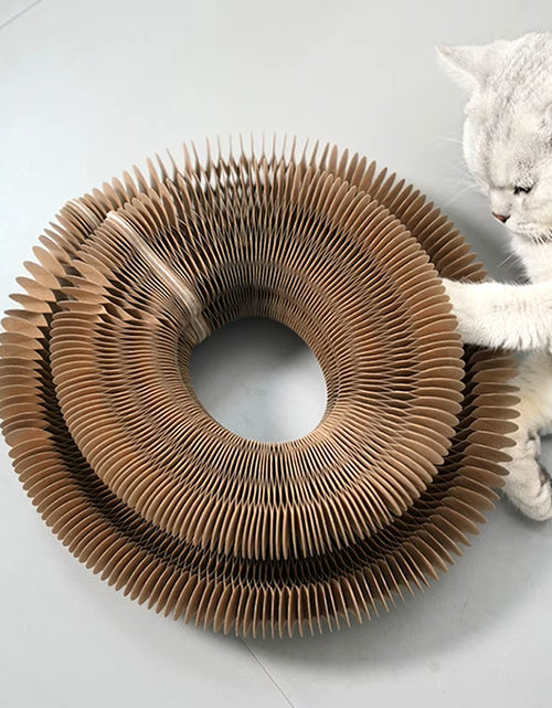 Load image into Gallery viewer, Purrfectscratch Magic Organ Cat Scratching Board – Interactive Claw Grinder &amp; Fun Toy for Cats
