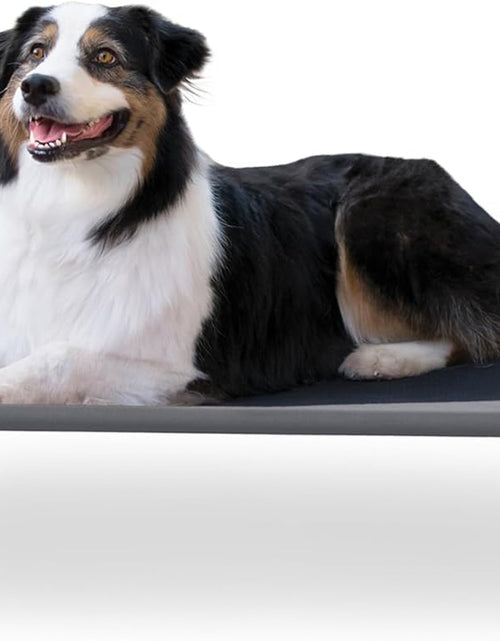 Load image into Gallery viewer, Original Pet Cot Elevated Dog Bed Gray/Black Mesh Large 30 X 42 X 7 Inches
