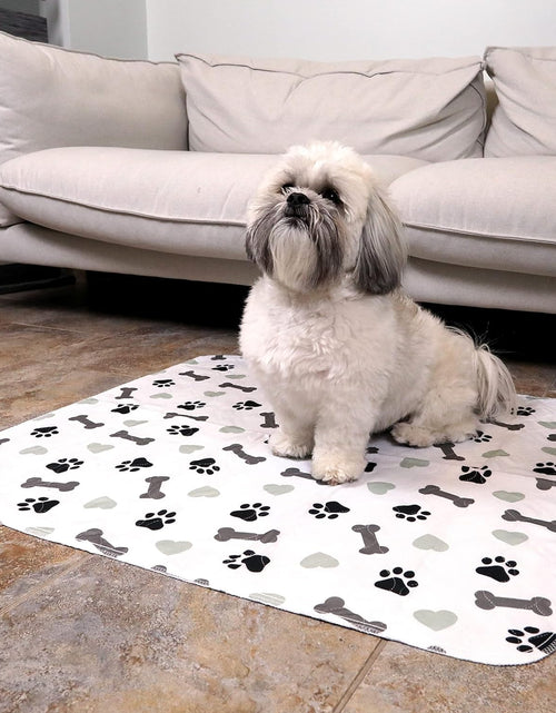 Load image into Gallery viewer, Washable Underpads - Large Pee Pads for Dogs, Machine Washable Reusable Puppy Pads, Waterproof Pet Training Pad, Dog Pee Pad, Anti-Slip Backing (Pack of 2 - 30X34)
