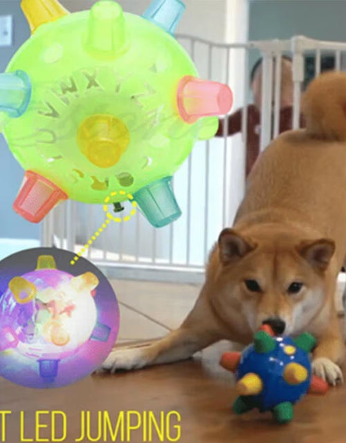 Load image into Gallery viewer, Pawactive Jumping Activation Ball – Flashing Light &amp; Sound Interactive Toy for Dogs
