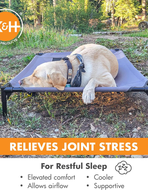 Load image into Gallery viewer, Original Pet Cot Elevated Dog Bed Gray/Black Mesh Large 30 X 42 X 7 Inches
