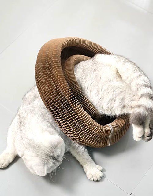 Load image into Gallery viewer, Purrfectscratch Magic Organ Cat Scratching Board – Interactive Claw Grinder &amp; Fun Toy for Cats
