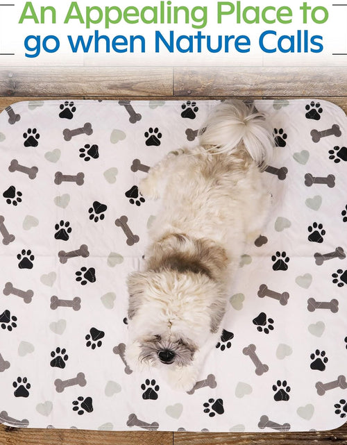 Load image into Gallery viewer, Washable Underpads - Large Pee Pads for Dogs, Machine Washable Reusable Puppy Pads, Waterproof Pet Training Pad, Dog Pee Pad, Anti-Slip Backing (Pack of 2 - 30X34)
